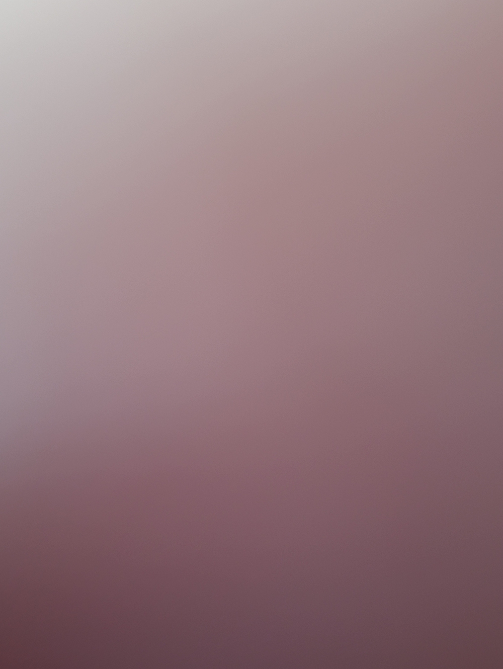 Soft Pink Gradient Wall Art Print - Unbranded